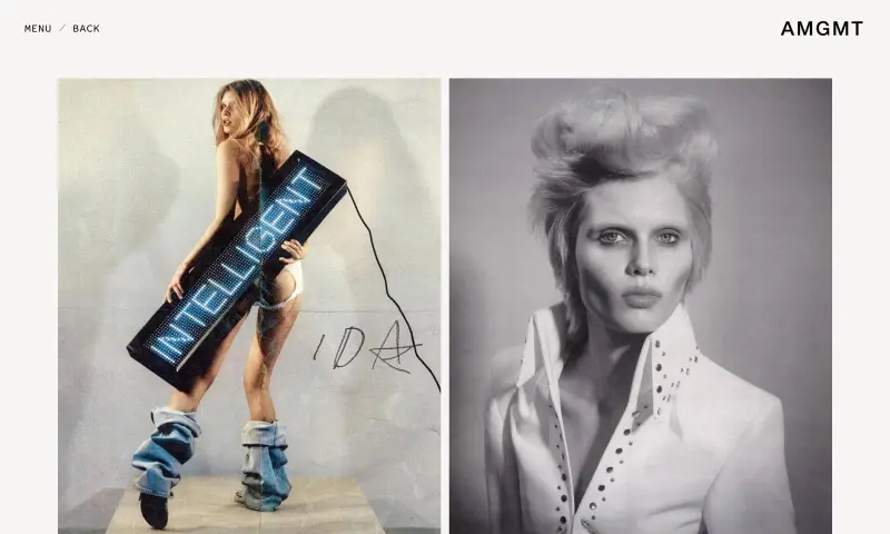 Screenshot of A-MGMT website