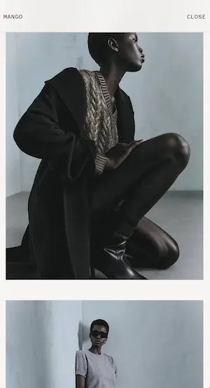 Screenshot of A-MGMT website