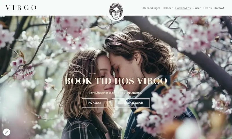 Screenshot of Virgo website